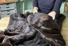 Ремонт шубы своими руками и в ателье: подбор идей и практичные советы